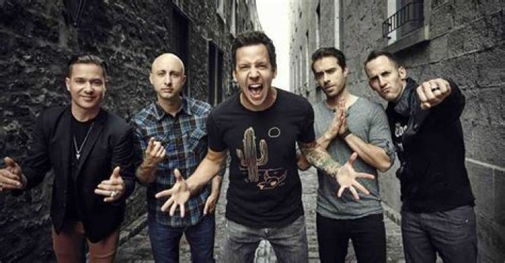 Simple Plan Net Worth