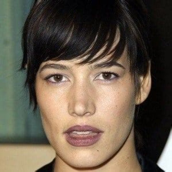 Stephanie Hodge Net Worth