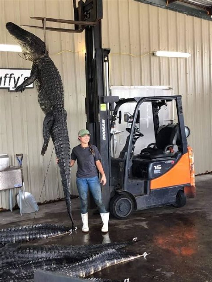 Stephen Greif Height, Weight, Net Worth, Age, Birthday, Wikipedia, Who, Instagram, Biography