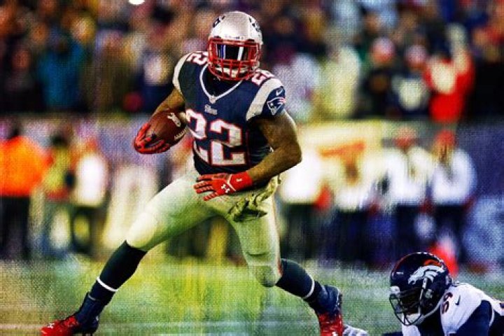 Stevan Ridley