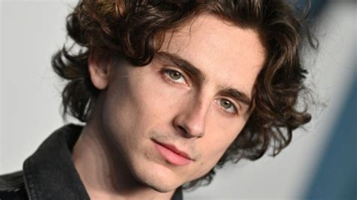 Timothée Chalamet (Actor) Wiki, Biography, Age, Height, Weight, Girlfriend, Net Worth, Career