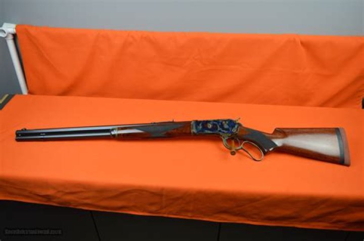 Tony Makris Net Worth