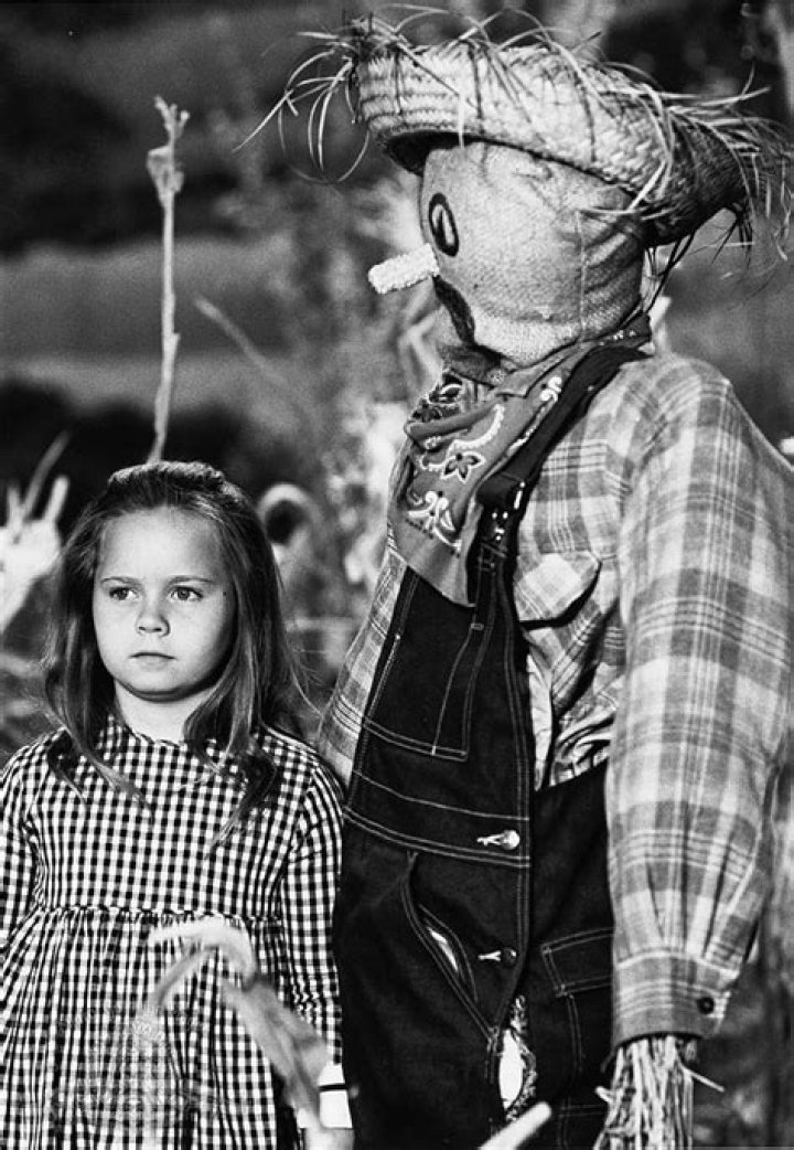 Victoria Paige Meyerink