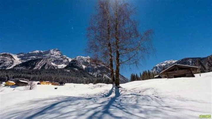 What does bonsoir mean