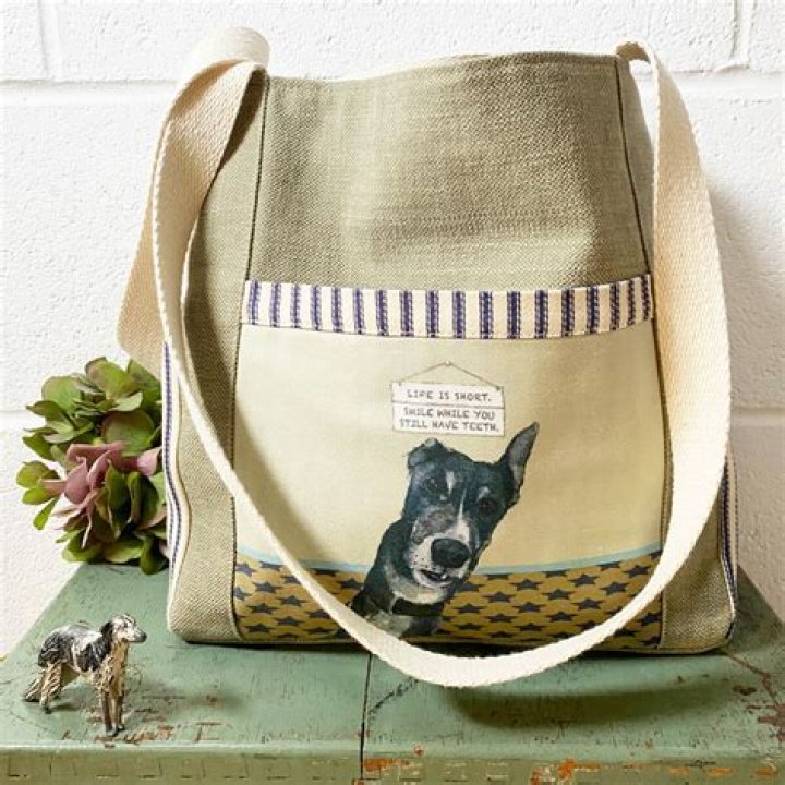 What happens if greyhound loses your bag