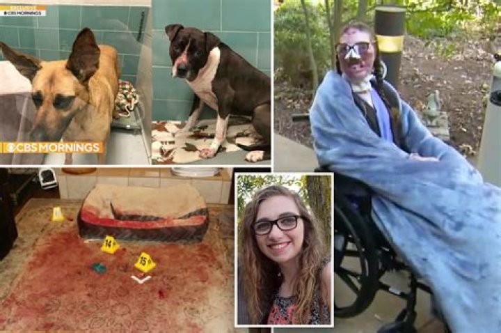 
Where Is Jacqueline Durand From Dog Attack Incident? What Happened To Dr Justin Bishop Dog? 