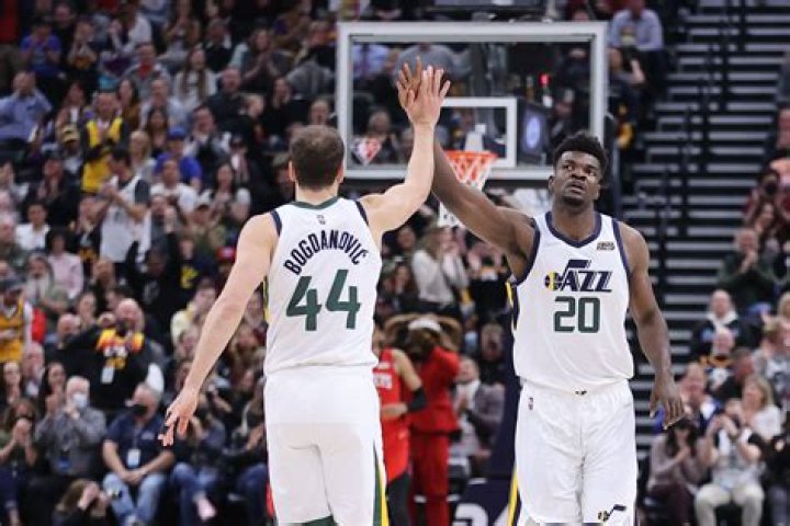 
Who are Udoka Azubuikes Parents? Udoka Azubuike Biography, Parents Name, Nationality and More 