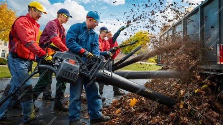 
Who is Ettore Lacchei? Illinois man shot neighbor William Martys for operating leaf blower on his property 
