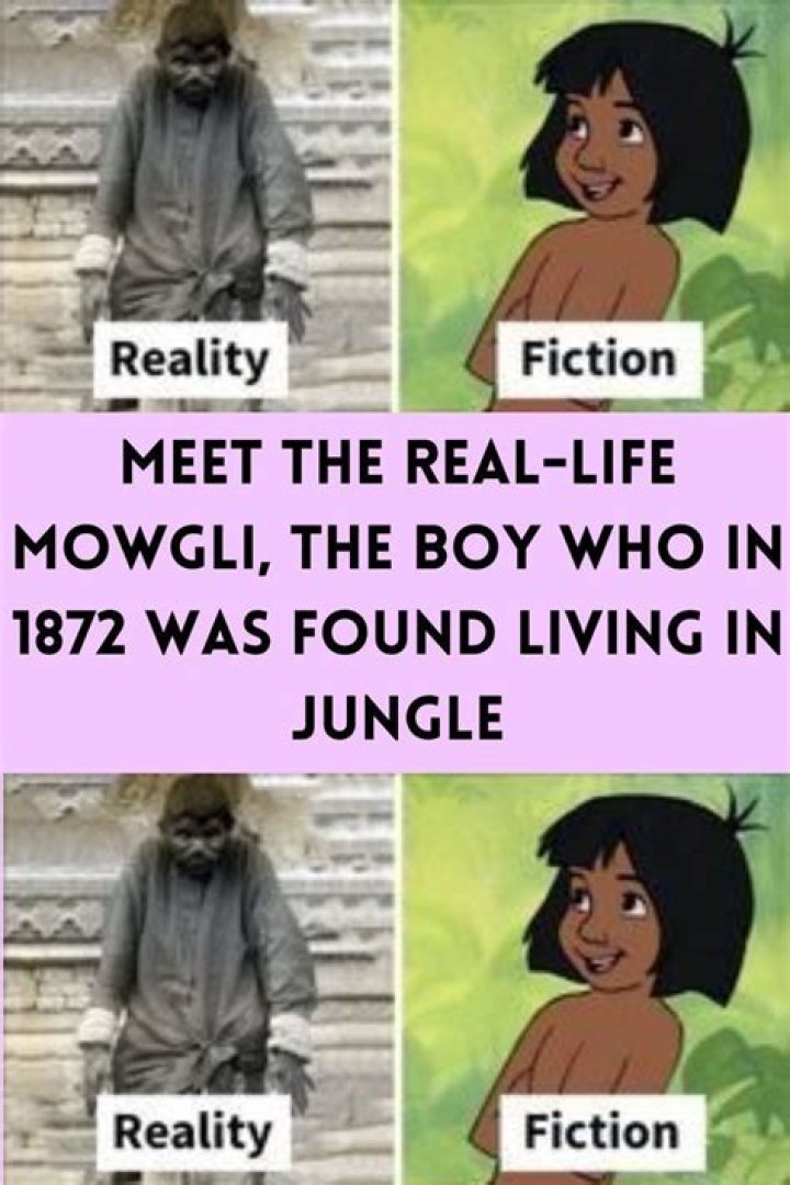 Who Is Zanziman Ellie? Real Life Mowgli -Where Is He Now? Details To Know