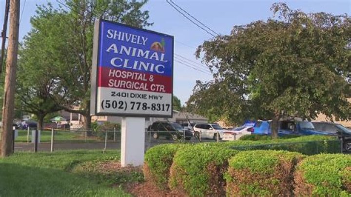 Who was Trent Taylor? Shively Animal Clinic, Louisville, shooting victim identified