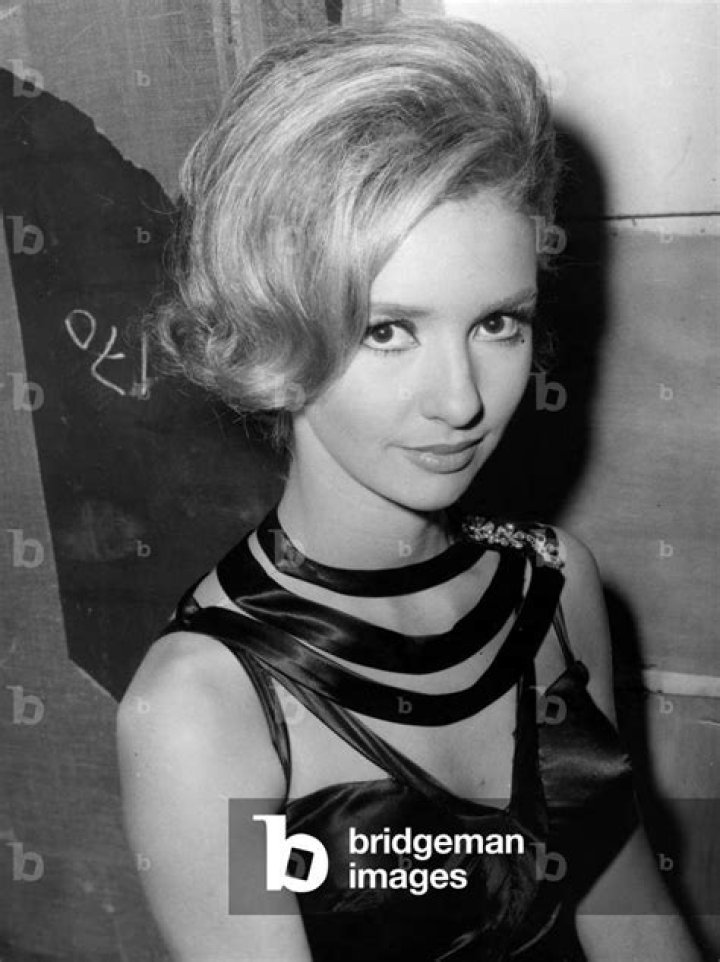 Yori Bertin Net Worth